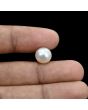 South Sea Pearl (Moti) 6.53 Carat 