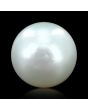 South Sea Pearl (Moti) 7.42 Carat 