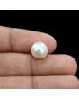 South Sea Pearl (Moti) 7.42 Carat 