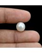 South Sea Pearl (Moti) 7.42 Carat 