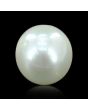 South Sea Pearl (Moti) 11.14 Carat 