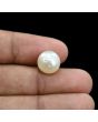 South Sea Pearl (Moti) 11.14 Carat 
