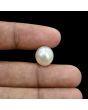 South Sea Pearl (Moti) 11.14 Carat 
