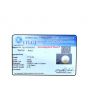 South Sea Pearl (Moti) 11.14 Carat 
