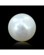 South Sea Pearl (Moti) 6.53 Carat 
