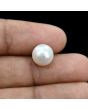 South Sea Pearl (Moti) 6.53 Carat 