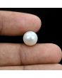 South Sea Pearl (Moti) 6.53 Carat 