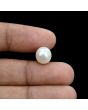 South Sea Pearl (Moti) 6.21 Carat