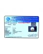 South Sea Pearl (Moti) 6.21 Carat