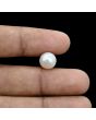 South Sea Pearl (Moti) 6.05 Carat 