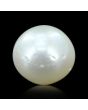 South Sea Pearl (Moti) 10.35 Carat 