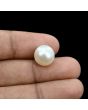 South Sea Pearl (Moti) 10.35 Carat 