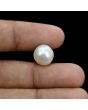 South Sea Pearl (Moti) 10.35 Carat 