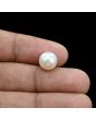 South Sea Pearl (Moti) 5.79 Carat 