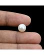 South Sea Pearl (Moti) 5.79 Carat 
