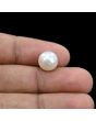South Sea Pearl (Moti) 6.72 Carat 