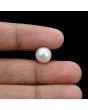 South Sea Pearl (Moti) 6.72 Carat 