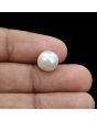 South Sea Pearl (Moti) 6.27 Carat 