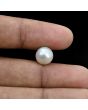 South Sea Pearl (Moti) 6.27 Carat 