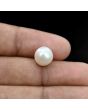 South Sea Pearl (Moti) 6.27 Carat 