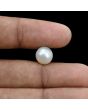 South Sea Pearl (Moti) 6.1 Carat 