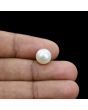 South Sea Pearl (Moti) 6.06 Carat 