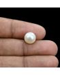 South Sea Pearl (Moti) 6.06 Carat 