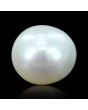South Sea Pearl (Moti) 6.37 Carat 