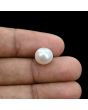 South Sea Pearl (Moti) 6.37 Carat 