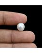 South Sea Pearl (Moti) 6.37 Carat 