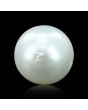 South Sea Pearl (Moti) 6.69 Carat 