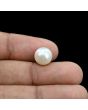 South Sea Pearl (Moti) 6.69 Carat 