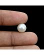 South Sea Pearl (Moti) 6.69 Carat 