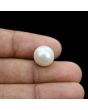 South Sea Pearl (Moti) 11.14 Carat 