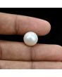 South Sea Pearl (Moti) 11.14 Carat 