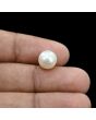 South Sea Pearl (Moti) 5.84 Carat 