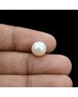South Sea Pearl (Moti) 5.84 Carat 