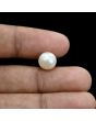 South Sea Pearl (Moti) 5.84 Carat 