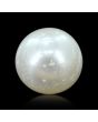 South Sea Pearl (Moti) 10.26 Carat 
