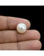 South Sea Pearl (Moti) 10.26 Carat 