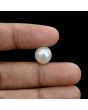 South Sea Pearl (Moti) 10.26 Carat 