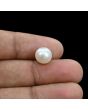South Sea Pearl (Moti) 5.37 Carat 