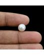 South Sea Pearl (Moti) 5.37 Carat 