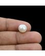 South Sea Pearl (Moti) 5.61 Carat 