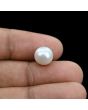 South Sea Pearl (Moti) 5.82 Carat 