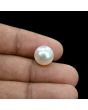 South Sea Pearl (Moti) 9.71 Carat 