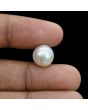 South Sea Pearl (Moti) 9.71 Carat 