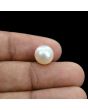 South Sea Pearl (Moti) 7.02 Carat 