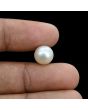 South Sea Pearl (Moti) 7.02 Carat 