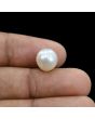 South Sea Pearl (Moti) 6.94 Carat 